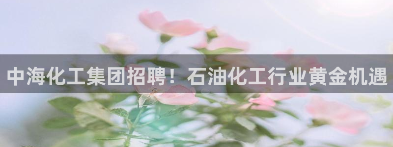 球盟会游戏几点玩合适