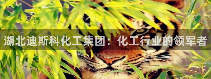 球盟会平台怎么样
