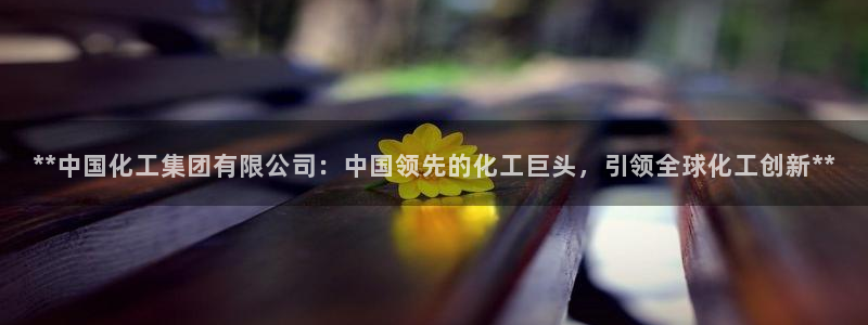 球盟会唯一：**中国化工集团有限公司：中国领先的化工巨头，引