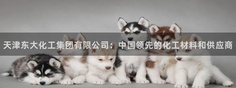 球盟会app最新地址在哪看：天津东大化工集团有限公司：中国领