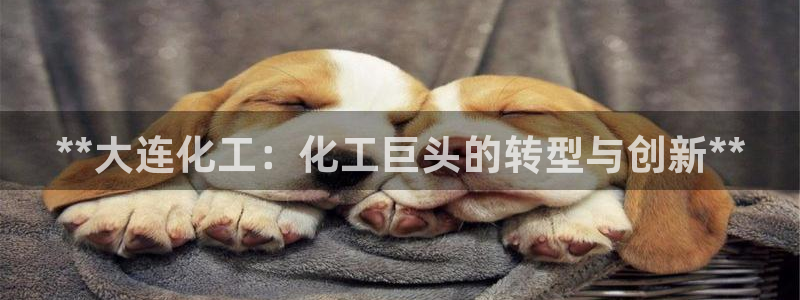 球盟会qmh网页版登录