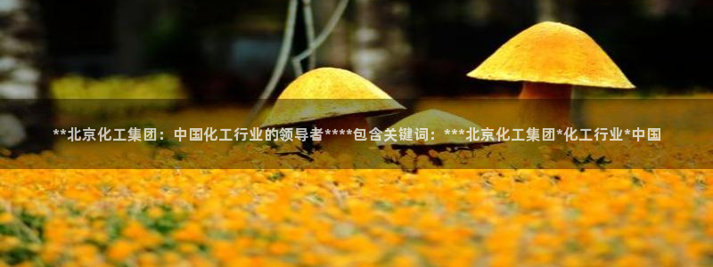 球盟会网址多少