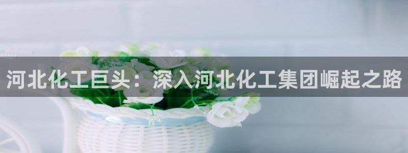 球盟会综合体育平台怎么样