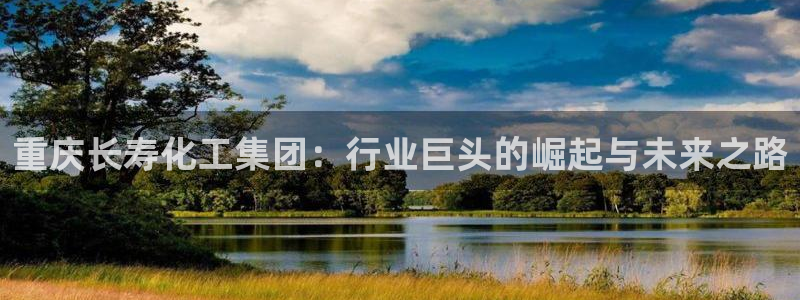 球盟会连接