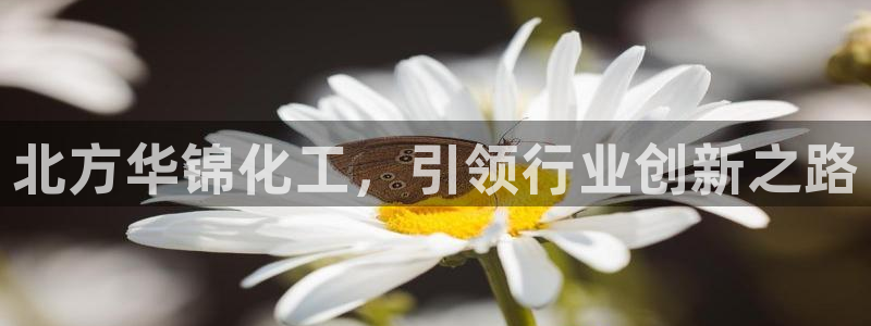 球盟会黑款吗知乎小说