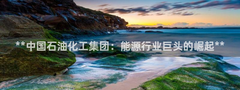 球盟会官网app下载：**中国石油化工集团：能源行业巨头的崛