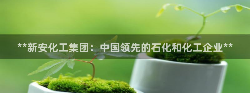 球盟会qmh登录地址：**新安化工集团：中国领先的石化和化工