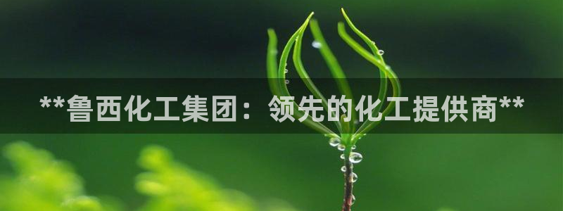 球盟会封号