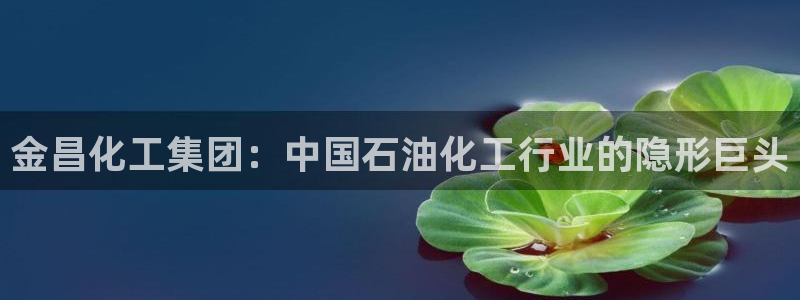 球盟会和中欧会的区别