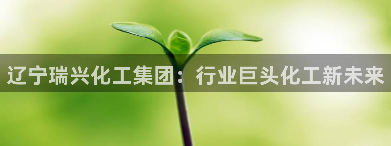 球盟会官方app首页入口