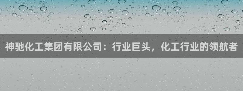 球盟会国际官网