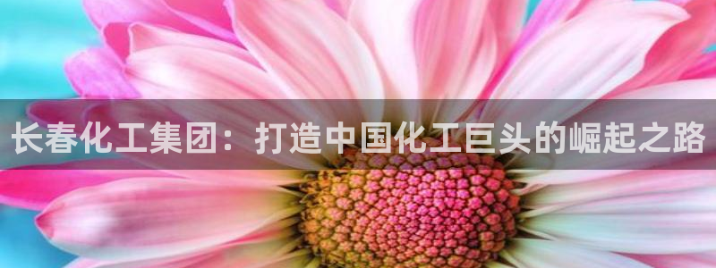 球盟会综合体育平台