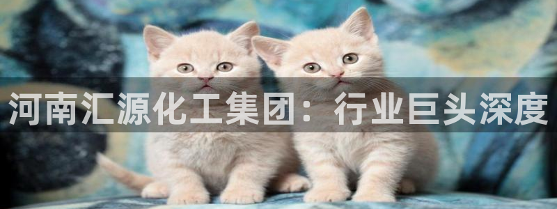球盟会黑嘛