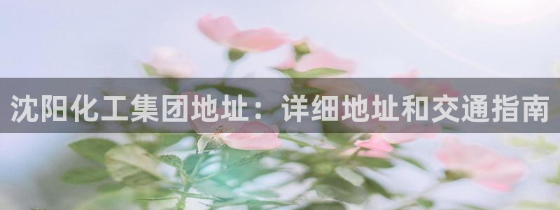 球盟会下载最新版
