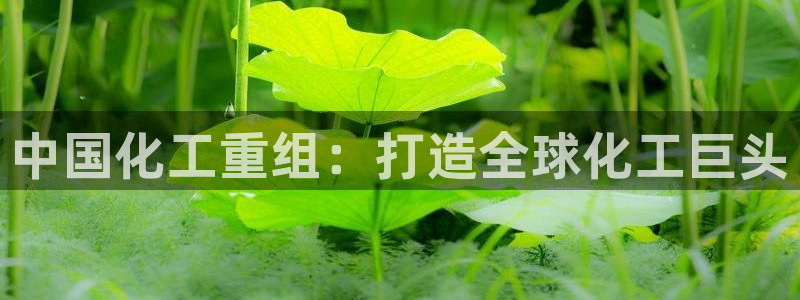 球盟会网页版