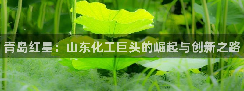 球盟会优惠领取网站