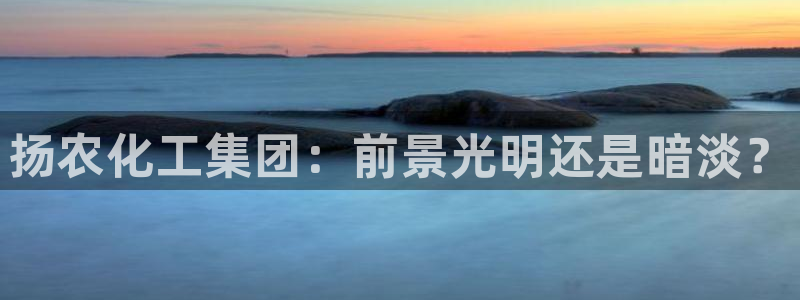 球盟会手机网页版