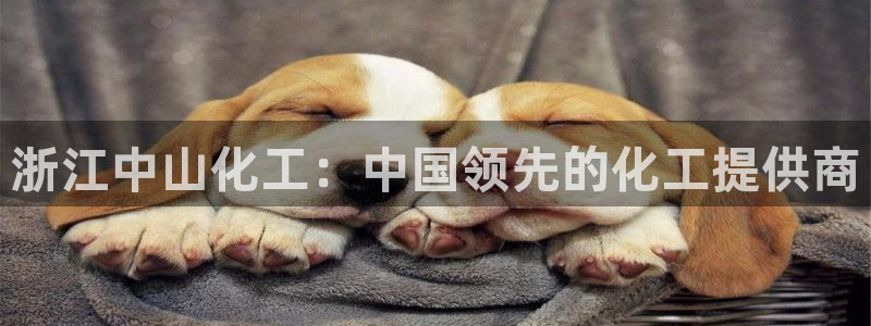 球盟会官网入口：浙江中山化工：中国领先的化工提供商
