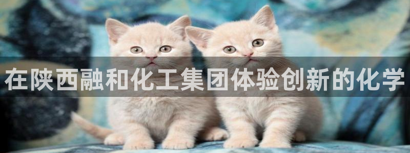球盟会qmh电子网页版登录：在陕西融和化工集团体验创新的化学