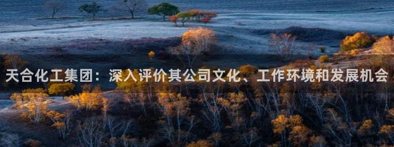 球盟会连接