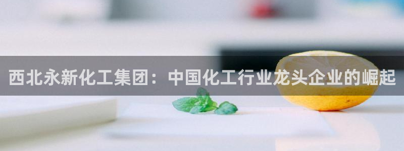 球盟会有限公司怎么样
