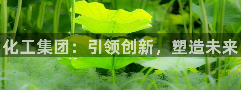 球盟会官方登录平台入口