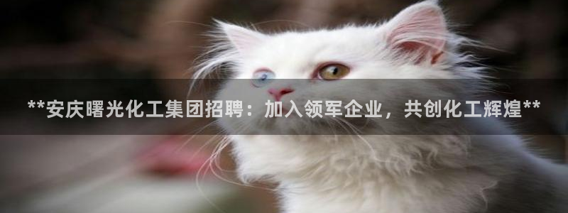 球盟会提款支付宝怎么样：**安庆曙光化工集团招聘：加入领军企