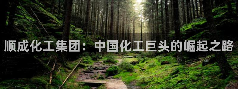 球盟会App