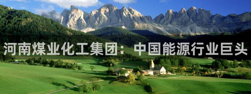 球盟会app网址多少号：河南煤业化工集团：中国能源行业巨头