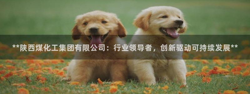 球盟会app最新地址在哪看
