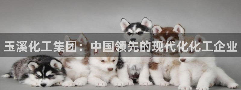 球盟会能提现吗