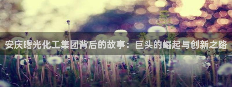 球盟会最新