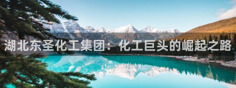 球盟会类似的网站