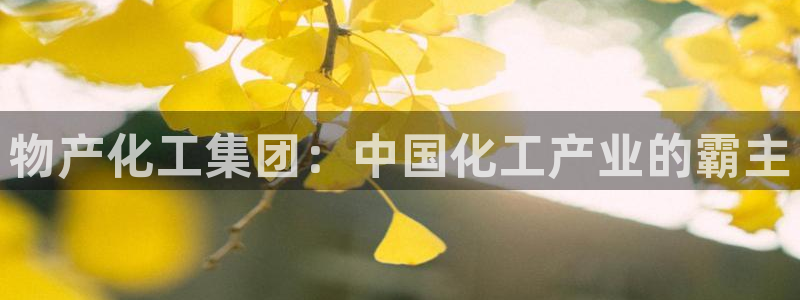 球盟会qmh