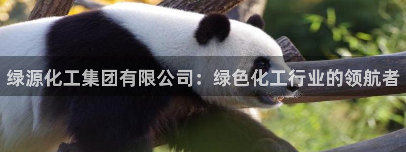球盟会登录入口