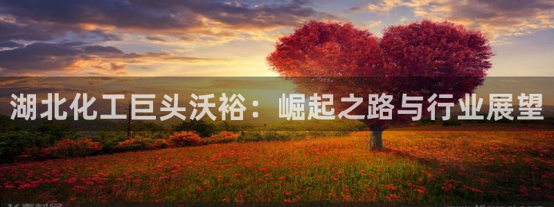 球盟会可以提现么是真的吗