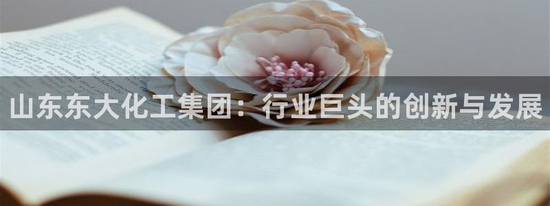 球盟会可以提现么