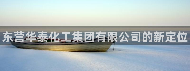 球盟会网页版登陆：东营华泰化工集团有限公司的新定位