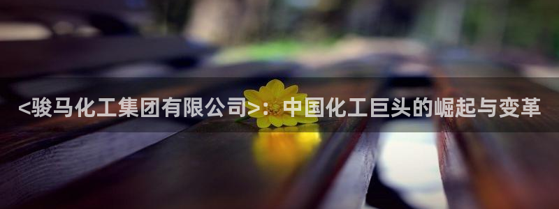 球盟会qmh登录地址
