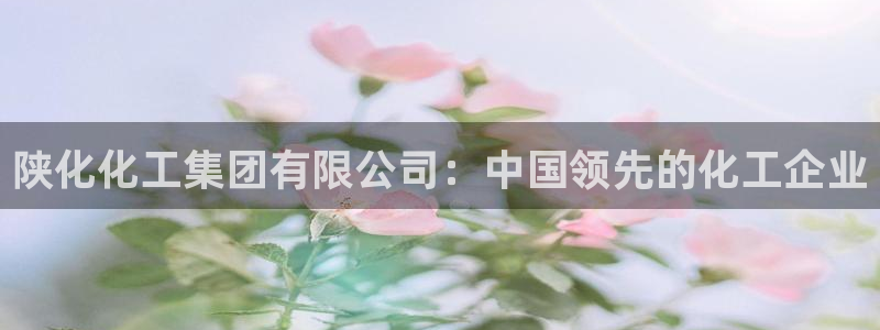 千亿球盟会乐玩：陕化化工集团有限公司：中国领先的化工企业