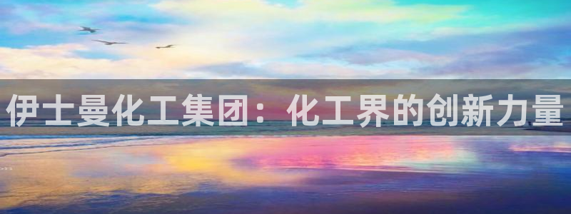 球盟会入口