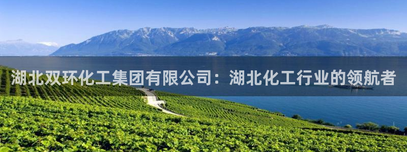 球盟会进不去球员吗