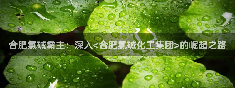 球盟会app最新地址在哪