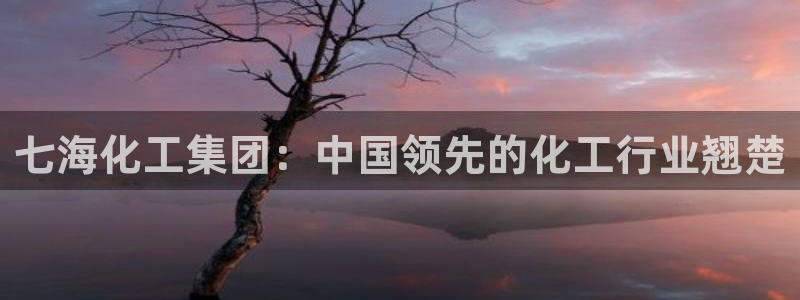 球盟会官方网址入口：七海化工集团：中国领先的化工行业翘楚