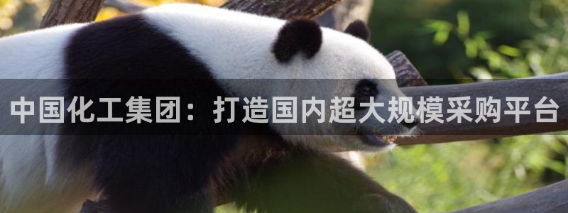 球盟会和中欧