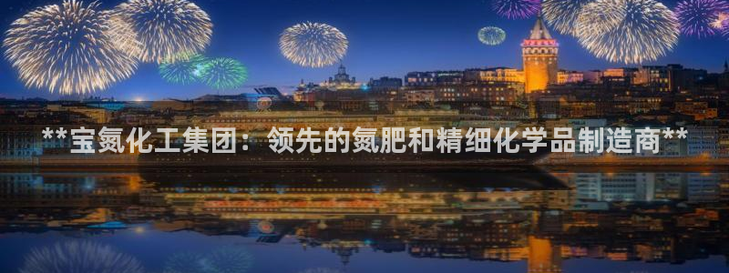 球盟会app最新地址在哪看：**宝氮化工集团：领先的氮肥和精