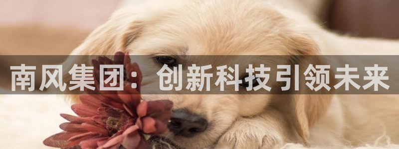 球盟会体验金：南风集团：创新科技引领未来