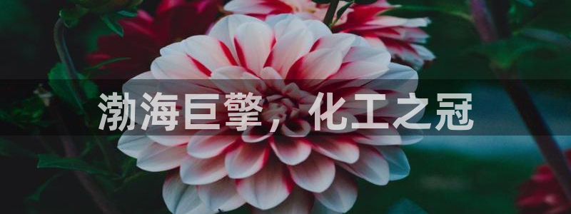 球盟会app网址多少号