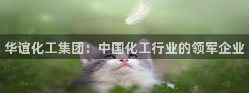 球盟会中国官方网站