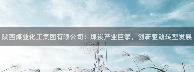 球盟会qmh官网：陕西煤业化工集团有限公司：煤炭产业巨擎，创